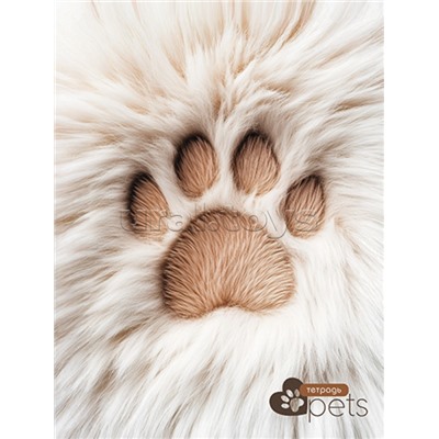 Тетрадь 80л. линия "Пушистая лапка" на гребне