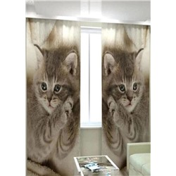 Фотошторы #23062482