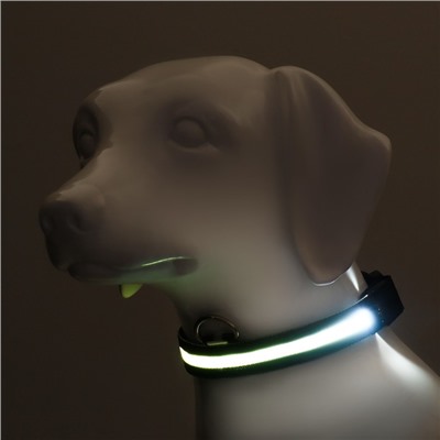 Ошейник, размер XL, ОШ 52-60×2.5 см, с подсветкой, 3 режима свечения, чёрный