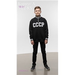 толстовка 2052423-2