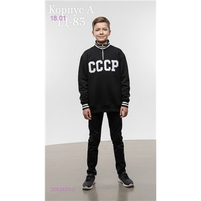 толстовка 2052423-2