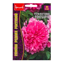 Семена цветов Роза Роксбурга кустовая 10 шт.  12.29 г.