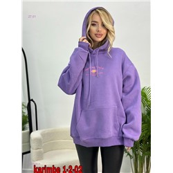 Толстовка с начесом 2057626-4