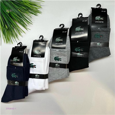 Носки мужские 10 пар 2058692-1