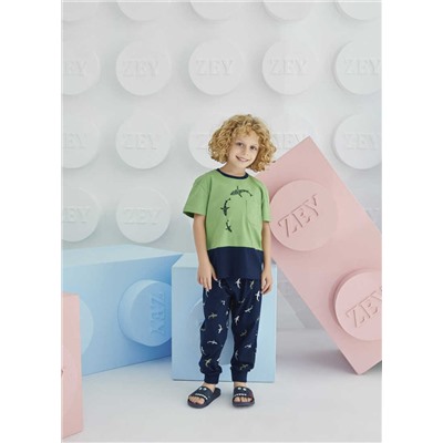 Комплект для мальчика ZEYZEY kids