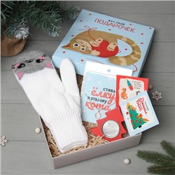 Новогодний подарочный набор «Подарочек» варежки размер 19 и аксессуары