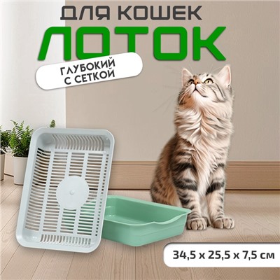 Лоток с сеткой 34.5×25.5×7.5 см, серый/оливковый
