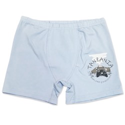 3664 Боксеры для мальчиков многоцвет (BAYKAR)