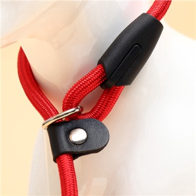 Ринговка для собак, 130×0.8 см, красная