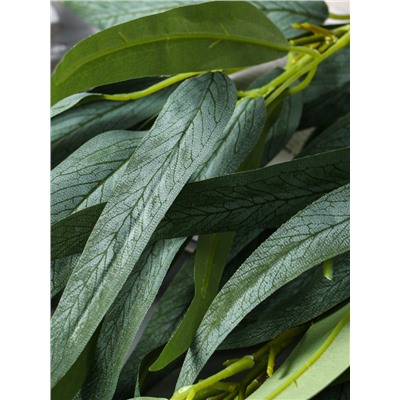 Цветы искусственные «Эвкалипт николии», h=85 см, зелёные