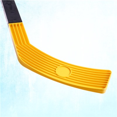 Набор для игры в хоккей «Буллит»