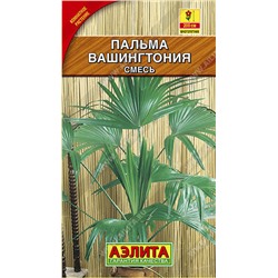 1688A Пальма Вашингтония робуста 2 шт