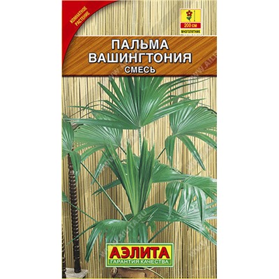 1688A Пальма Вашингтония робуста 2 шт