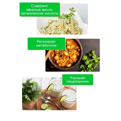 Семена петрушка листовая «Богатырь», 2 г