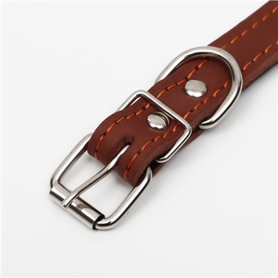 Ошейник кожаный на синтепоне, безразмерный, 45×2 см, ОШ 18-39 см, коричневый