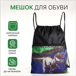 Мешок для обуви на шнурке, с карманом, принтом, размер 45×1×34 см, чёрный/серый