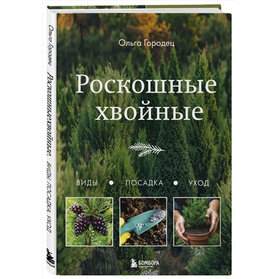 Эксмо Ольга Городец "Роскошные хвойные. Виды, посадка, уход"