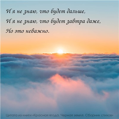 АСТ Анна Долгарева "Красная ягода. Черная земля. Сборник стихов"
