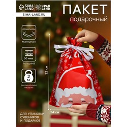 Пакет подарочный новогодний с завязками, «Дед Мороз», 24×32 см