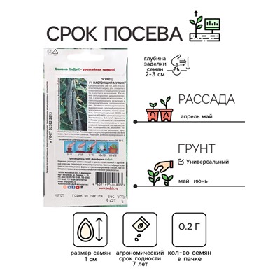 Семена Огурец «Настоящий мужик », 0.2 г