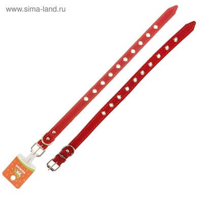 Ошейник кожаный однослойный безразмерный, 45×2 см, ОШ 18-39 см, красный