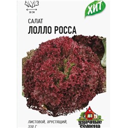 Салат Лолло Росса хит