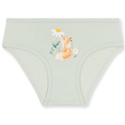 5838 Трусы для девочки многоцвет (BAYKAR)