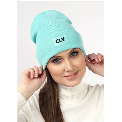 CLEVER Шапка