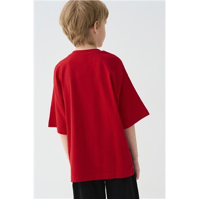 Фуфайка трикотажная для мальчиков (футболка) PLAYTODAY, 1243134