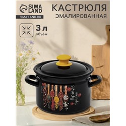Кастрюля эмалированная «Карри», 3 л, d=19.2 см, цилиндрическая, чёрная