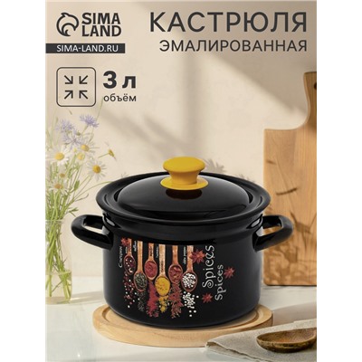 Кастрюля эмалированная «Карри», 3 л, d=19.2 см, цилиндрическая, чёрная