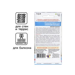 Семена Цветов Клематис тангутский «Снежный человек»,10 шт., «Уральский Дачник»