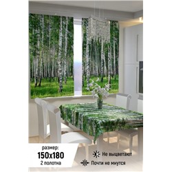 Фотошторы для кухни 10847 (Зеленый)