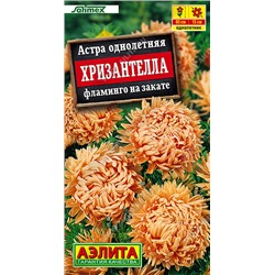 1998A Астра Хризантелла фламинго на закате 15шт