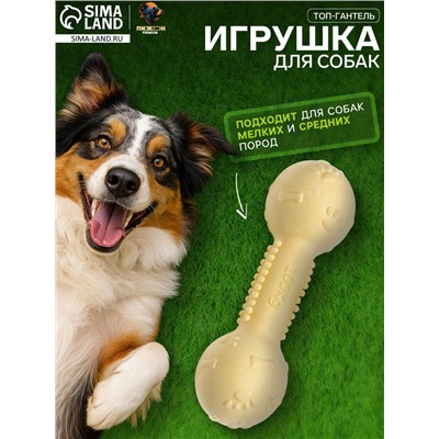 Игрушка плавающая для собак «Топ-гантель» Пижон Premium, вспененный TPR, 11.5 см, жёлтая