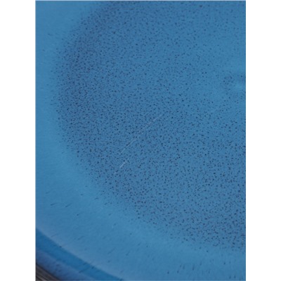 УЦЕНКА Тарелка обеденная «Лунная тропа» 21×3 см