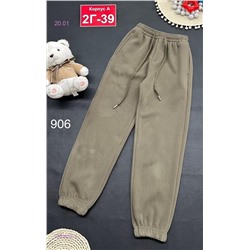 штаны с начесом 2053655-3