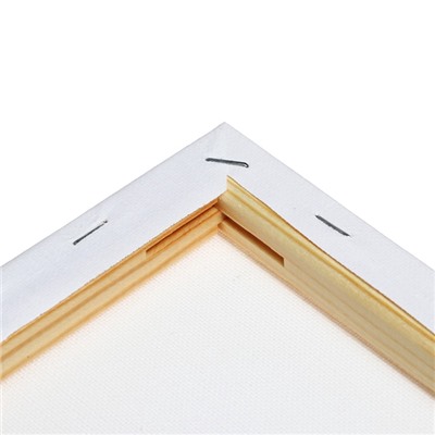 Холст на подрамнике, хлопок 100%, 1.6×20×40 см, акриловый грунт, мелкозернистый, 280 г/м²