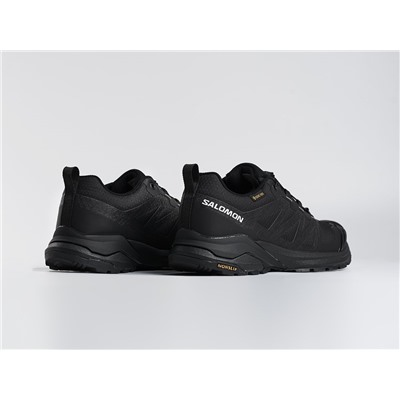 Кроссовки Salomon X ADVENTURE GTX