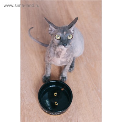 Миска керамическая «Черный кот» 300 мл - 12.5×12.5×4.5 см, черная/жёлтая