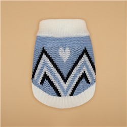 Свитер для животных «Волна», XS (ДС 17, ОШ 17, ОГ 23-37 см), голубой