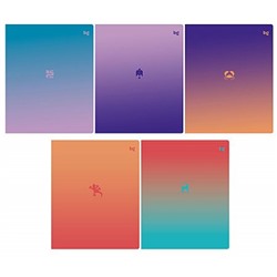 Тетрадь  40л линия "Градиент" эконом Т5ск40 60304 BG