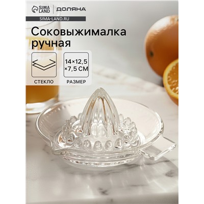 Ручная соковыжималка Доляна Juice, 12.5×7.5 см, стекло, прозрачная