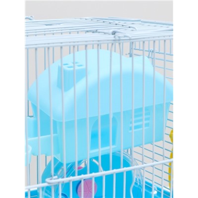 Клетка для грызунов «Пижон», укомплектованная, 27×21×26 см, голубая