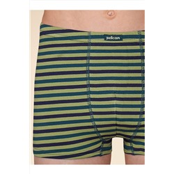 Трусы, 2 шт. PELICAN, 1055203