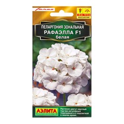 Семена цветов Пеларгония Рафаэлла F1 белая Мн С. Farao Золотая серия, Ц/П,5 шт.
