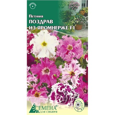 Петуния Поздрав из Яромнерже F1, 10сем (цв.)