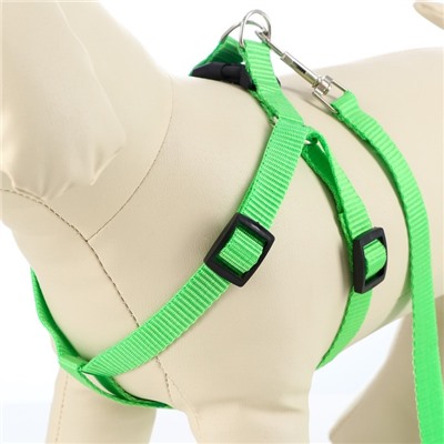 Шлейка с поводком «Базис», 32-46×1.5 см, поводок 120×1.5 см, зелёная