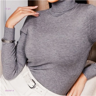 Водолазка 2052081-6