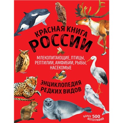 Эксмо Дмитрий Лукашанец, Екатерина Лукашанец "Красная книга России. Млекопитающие, птицы, рептилии, амфибии, рыбы, насекомые"